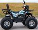 КВАДРОЦИКЛ HAMER SPIDER 125 MAX SPIDER125MAX фото 6