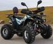 КВАДРОЦИКЛ HAMER SPIDER 125 MAX SPIDER125MAX фото 5
