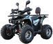 КВАДРОЦИКЛ HAMER SPIDER 125 MAX SPIDER125MAX фото 1