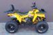 КВАДРОЦИКЛ COMMAN SHARK 200CC SHARK 200CC фото 10