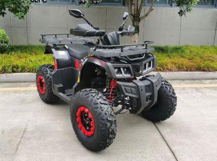 КВАДРОЦИКЛ COMMAN SCORPION 200CC SCORPION 200CC фото
