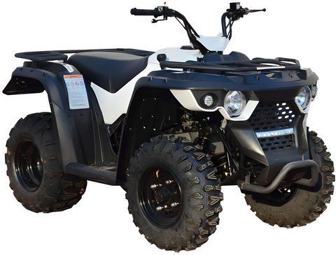 КВАДРОЦИКЛ LINHAI M170 LINHAI M170 фото